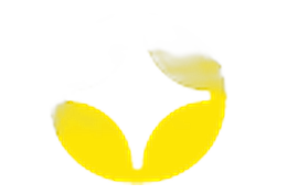 ZizoBet casino logo — ranked #4